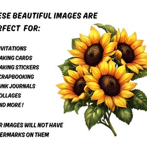 May include: A digital illustration of a bouquet of sunflowers with yellow petals and dark brown centres, surrounded by green leaves. Text reads: "THESE BEAUTIFUL IMAGES ARE PERFECT FOR: INVITATIONS, MAKING CARDS, MAKING STICKERS, SCRAPBOOKING, JUNK JOURNALS, COLLAGES, AND MORE! YOUR IMAGES WILL NOT HAVE WATERMARKS ON THEM."