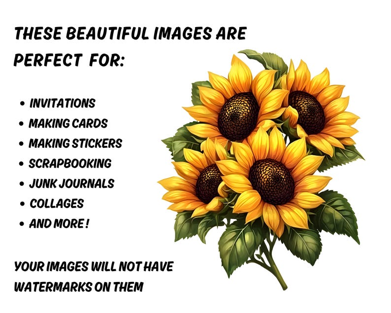 May include: A digital illustration of a bouquet of sunflowers with yellow petals and dark brown centres, surrounded by green leaves. Text reads: "THESE BEAUTIFUL IMAGES ARE PERFECT FOR: INVITATIONS, MAKING CARDS, MAKING STICKERS, SCRAPBOOKING, JUNK JOURNALS, COLLAGES, AND MORE! YOUR IMAGES WILL NOT HAVE WATERMARKS ON THEM."