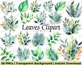Herfstbladeren clipart png | Digitale herfstkunst voor scrapbooking, planners en tijdschriften | Hoogwaardige bladelementen