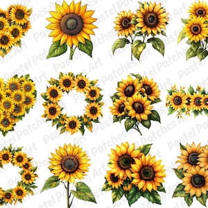 May include: A selection of watercolour sunflower designs. The image features sunflowers arranged in heart and wreath shapes, and individual blooms. The sunflowers have yellow petals and dark brown centres.