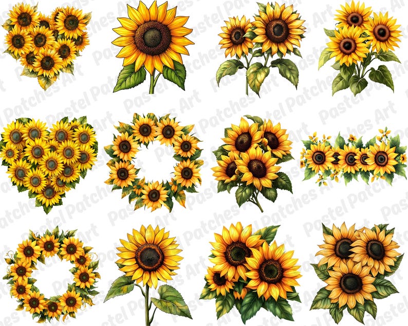 May include: A selection of watercolour sunflower designs. The image features sunflowers arranged in heart and wreath shapes, and individual blooms. The sunflowers have yellow petals and dark brown centres.