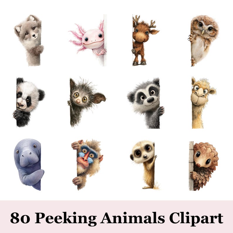 80 Quirky Peeking Animals Clipart | Cute Farm Animal PNG Bundle | Funny ...