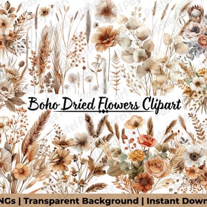 May include: A collection of watercolor clipart featuring dried flowers in shades of brown, beige, and orange. The text "Boho Dried Flowers Clipart" is displayed in the center. The bottom of the image reads "55 PNGs | Transparent Background | Instant Download".