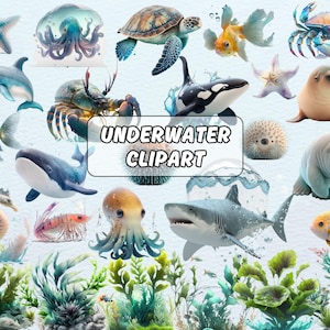 Watercolor Undersea Clipart Bundle, Ocean Sea Life, Nursery Decor, Ocean Animals PNG, Baby Shower, Cute Marine Animals, Jellyfish, Octopus