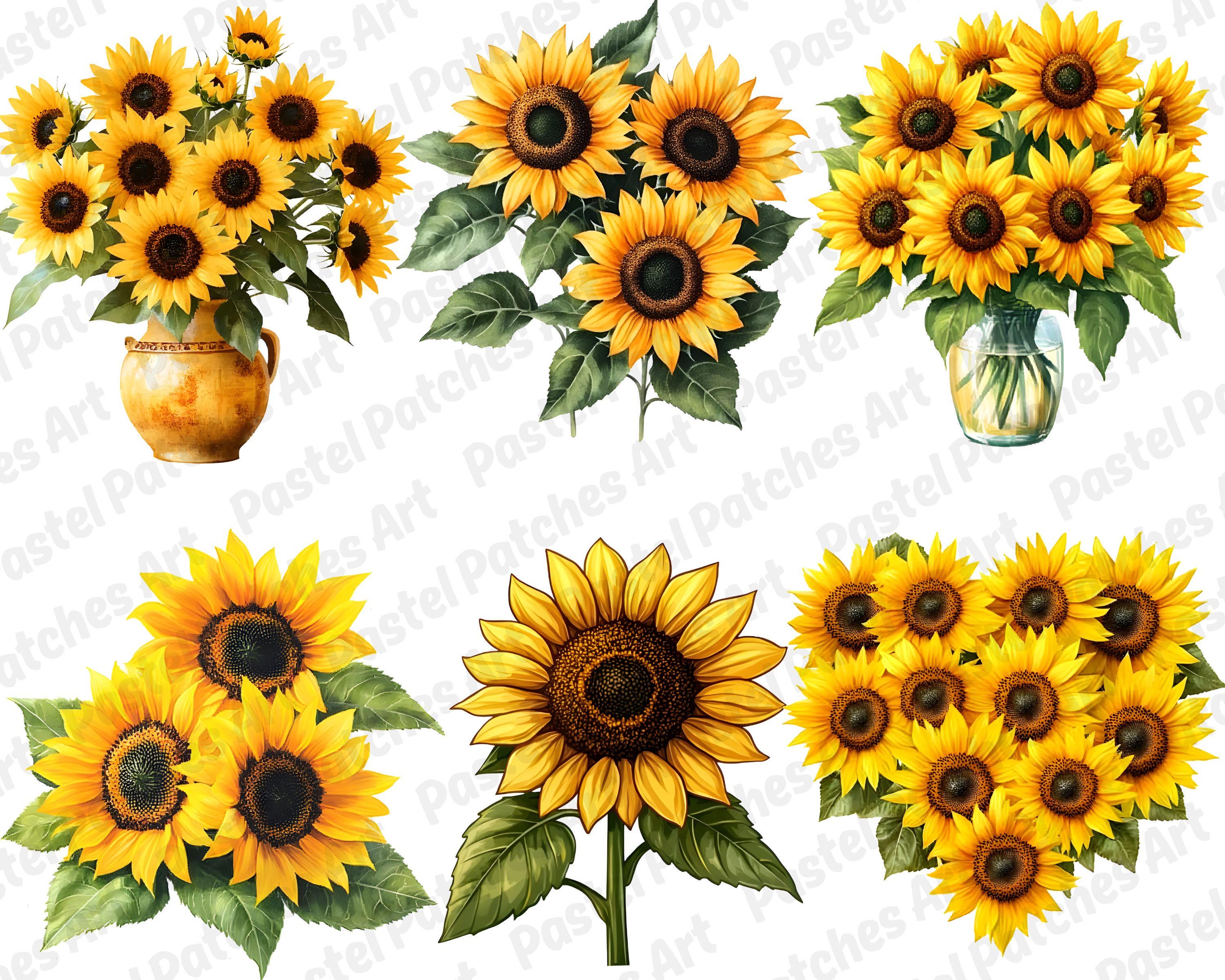 30 PNG Watercolor Sunflowers Clipart Bundle, Sunflower Wreaths, Floral ...