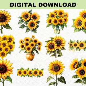 May include: Digital download of watercolour sunflower illustrations. The image presents diverse arrangements, such as single flowers, bouquets in vases, and decorative borders. The sunflowers have yellow petals and dark brown centres, with green leaves.