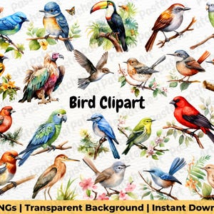 Puede incluir: Clipart de aves en acuarela con varios pájaros coloridos posados en ramas con hojas y flores. La imagen incluye un tucán, herrerillos y otras especies. El texto dice "Bird Clipart" y "45 PNGs | Transparent Background | Instant Download".