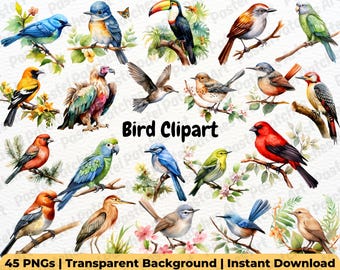 May include: Watercolor bird clipart featuring various colorful birds perched on branches with leaves and flowers. The image includes a toucan, bluebirds, and other species. Text reads "Bird Clipart" and "45 PNGs | Transparent Background | Instant Download".