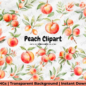 Peach Watercolor Clipart, Fresh Peach PNG, Peach Tree Illustrations, Fruit Clipart, Peach Flowers, Cute Peach Art, Digital Commercial Use