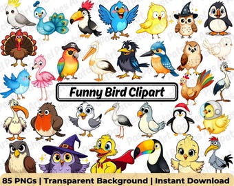 Quirky Bird Clipart PNG Bundle, Funny Cartoon Birds, Whimsical Animal Graphics, Cute Scrapbooking Stickers, Commercial Use