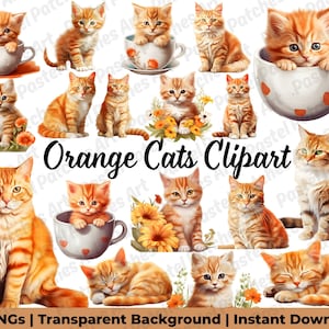 Könnte beinhalten: Eine Sammlung von Orange-Tabby-Katzen-Clipart-Bildern. Die Katzen sind in verschiedenen Posen dargestellt, darunter sitzen, stehen und sich zusammenrollen. Einige sind in Teetassen oder von Blumen umgeben. Der Text "Orange Cats Clipart" wird angezeigt.