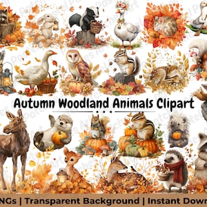 May include: A digital illustration featuring a variety of autumn woodland animals, such as a raccoon, rabbit, squirrel, and deer, set against a backdrop of autumnal leaves and pumpkins. The text "Autumn Woodland Animals Clipart" is visible.