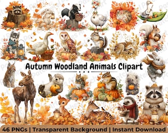Op de afbeelding: Een digitale illustratie met verschillende herfstbosdieren, waaronder een wasbeer, konijn, eekhoorn en hert, tegen een achtergrond van herfstbladeren en pompoenen. De tekst "Autumn Woodland Animals Clipart" is zichtbaar.