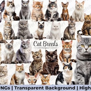 Cat Breeds Clipart Bundle, Cats Clipart, Pet Animals Clipart, Watercolor Cat Graphics, Realistic Cats PNG, Instant Download, Commercial Use