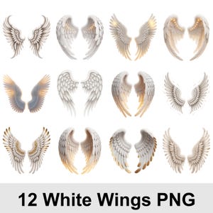 May include: A collection of twelve white angel wings in various designs. Each pair of wings is rendered with detailed feather textures and subtle shading, creating a realistic and ethereal effect. The image includes the text "12 White Wings PNG".