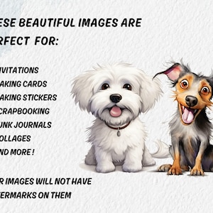 Giggly puppy clipart
Cheery dog clipart
Funny dog drawing clipart
Hysterical puppy clipart
Pawsitive dog clipart
Giggling puppy clipart
Whimsical puppy clipart
Chucklesome puppy clipart
Quizzical dog clipart
Gigglesome dog clipart
Whimsical canine clipart