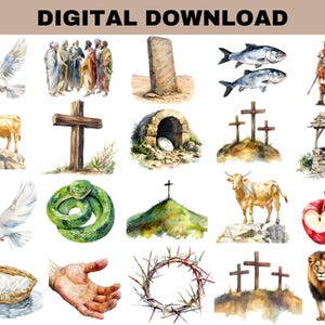 Bible journey clipart
Baptismal font clipart
Jesus healing clipart
Prodigal Son clipart
Bible lessons clipart
Holy family clipart
Sacred heart clipart
Biblical animals clipart
Communion clipart