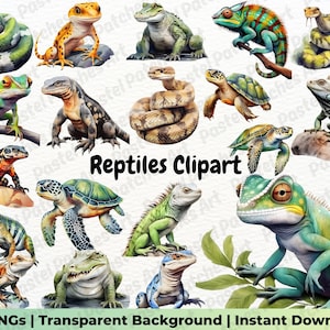 Reptiles Watercolor Clipart, Chameleon, Lizard, Snake, Turtle, Alligator, Exotic Animal Illustrations, Instant Download, Commercial Use PNG