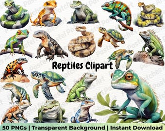 Watercolor Reptile Clipart PNG Bundle: Chameleon, Lizard, Snake, Turtle, Alligator. Exotic Animal Illustrations for Commercial Use
