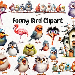 Funny Bird Clipart, Quirky Bird Illustrations, Cartoon Bird Faces, Cute Comical Bird Clipart, Whimsical Birds, Bird Clipart , Silly Animals