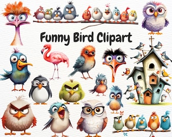 Funny Bird Clipart, Quirky Bird Illustrations, Cartoon Bird Faces, Cute Comical Bird Clipart, Whimsical Birds, Bird Clipart , Silly Animals