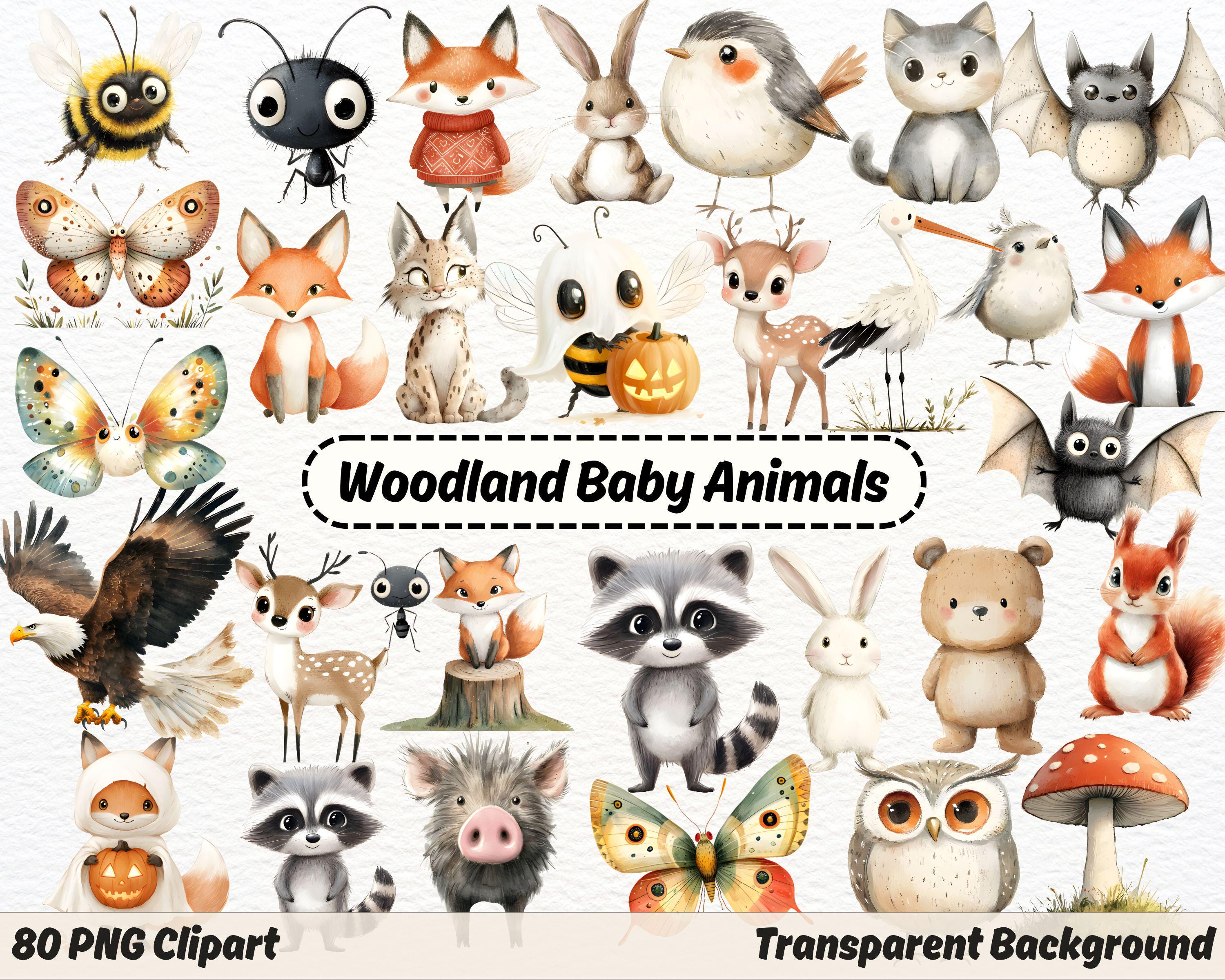Woodland Animals Clipart PNG, Boho Baby Animals, Watercolor Woodland ...