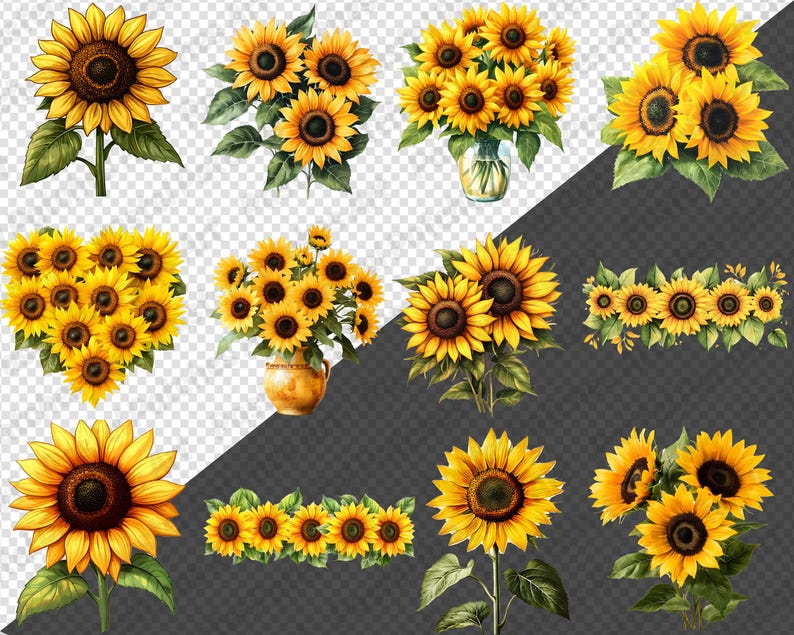 May include: A selection of watercolour illustrations of sunflowers in various arrangements. The images include single sunflowers, bouquets in vases, and decorative borders, all featuring bright yellow petals and green leaves.