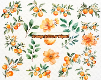 Summer Orange Clipart, Citrus Summer Clip Art, Citrus Tropical Graphics, Orange Leaves, Tropical Fruit Clipart, Botanical Fruit Clip Art