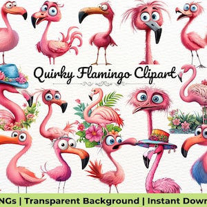 Quirky Flamingo Clip Art | Watercolor Digital Download | Transparent PNG & JPG | Junk Journal and Scrapbook Supplies | Commercial Use
