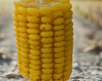 beeswax candle- corn cob!