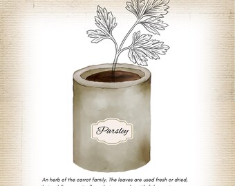 PARSLEY Herb Plant Artwork Gardening Kitchen Decor Wall Hanging