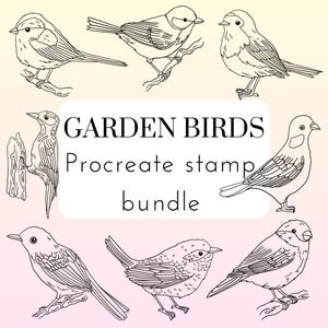 Garden Birds Hand Drawn Procreate Stamp Brushes/ Nature Inspired Brushes for Illustration, Design, Scrapbooking with commercial license