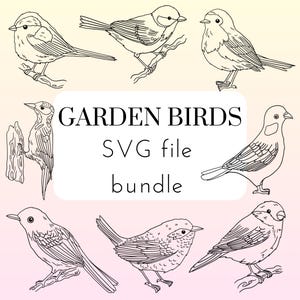 Pacchetto SVG Garden Birds - 8 disegni di uccelli illustrati a mano per Cricut, Silhouette, progetti fai da te, inclusa licenza per uso commerciale