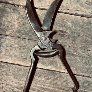 Heavy Duty Poultry Shears | Grah & Graefer Solingen Schwarc-Wald | Stainless Steel Eagle Head Scissors | Antique Poultry Shears | SOLINGEN