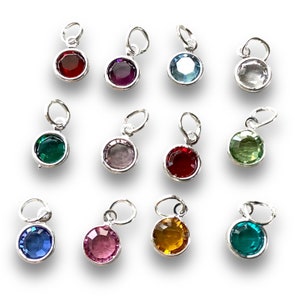 May include: Twelve silver charms with different colored gemstones. Each charm features a round gemstone in a silver setting with a loop for attaching to a bracelet or necklace. The gemstones are red, purple, blue, clear, green, gray, burgundy, light green, dark blue, pink, orange, and teal.