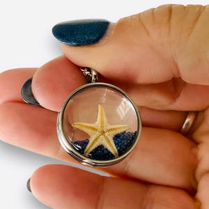 Sea Star Beach Memory Locket, Glass Stainless Steel Bubble Screw on Locket, 22 inch Rolo Chain, Glass Locket