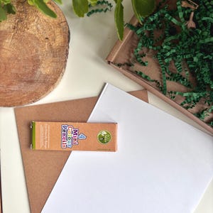 A flat lay arrangement showing a white sheet of paper, a brown card, and a small box of 4 Mini Colour Pencils. The scene is decorated with green leaves and a wooden disc arranged on a white background.