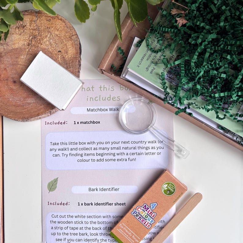 A flat lay arrangement showing an instructions card, plastic magnifying glass, a small box of 4 Mini Colour Pencils and a wooden lolly stick. The scene is decorated with green leaves and a wooden disc arranged on a white background.