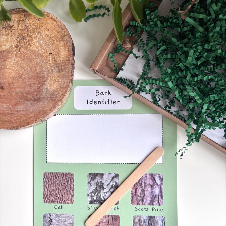 A flat lay arrangement showing a bark identifier sheet and a wooden lolly stick. The scene is decorated with green leaves and a wooden disc arranged on a white background.