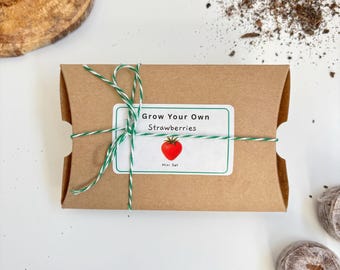 Mini Grow Your Own Strawberries Kit for Children | Gardening and Nature Activity Box | Gardening Activity Gift For Kids | Garden Kids Craft