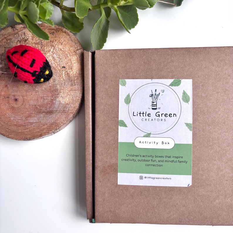 A brown cardboard activity box with a white and green label, surrounded by green leaves, a wooden disc and knitted ladybird on a white background. The label reads "Little Green Creations" and "Activity Box".