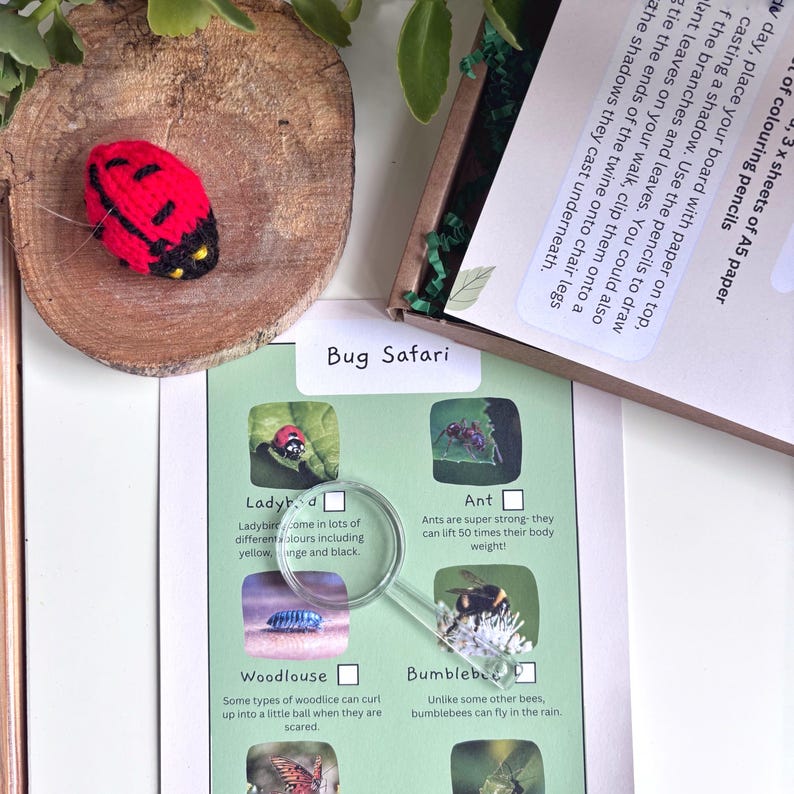 A flat lay arrangement showing a bug safari scavenger hunt with a magnifying glass. The scene is decorated with green leaves and a wooden disc arranged on a white background and a knitted ladybird.