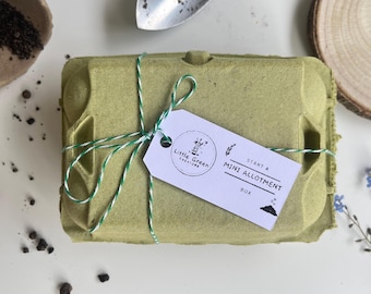 Start a Mini Allotment Kit for Children | Gardening and Nature Craft Activity Box | Gardening Activity Gift For Kids | Garden Kids Craft