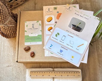 Grow Your Own Broad Bean Kit For Children | Gardening and Nature Craft Activity | Gardening Gift | Gardening Kits for Kids