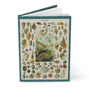 Oceanography Mollusks Hard Backed Journal, Adolphe Millot Illustrations, Larousse Encyclopedie, Blank Pages, Notebook, Sketchbook