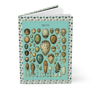 Natural History Eggs Charts Hard Backed Journal, Science Notebook, Nature Journal, Adolphe Millot, Lorenz Oken, Scientific Sketchbook