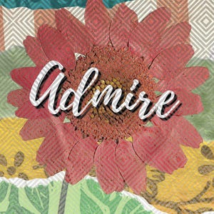 Ammirare