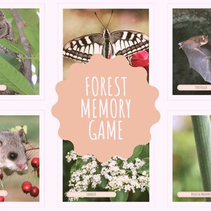 May include: A set of 6 forest animal memory game cards. The cards feature a brown owl, a black and yellow butterfly, a brown bat, a gray dormouse, white flowers, and a green and black caterpillar.