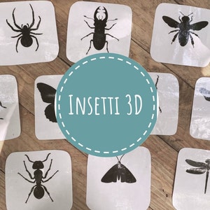 Può includere: Un set di nove carte bianche con silhouette di insetti nere. Le carte sono disposte in cerchio attorno a una carta più grande con il testo "INSETTI 3D".