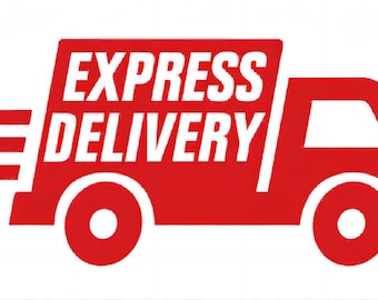 UPS Express Delivery